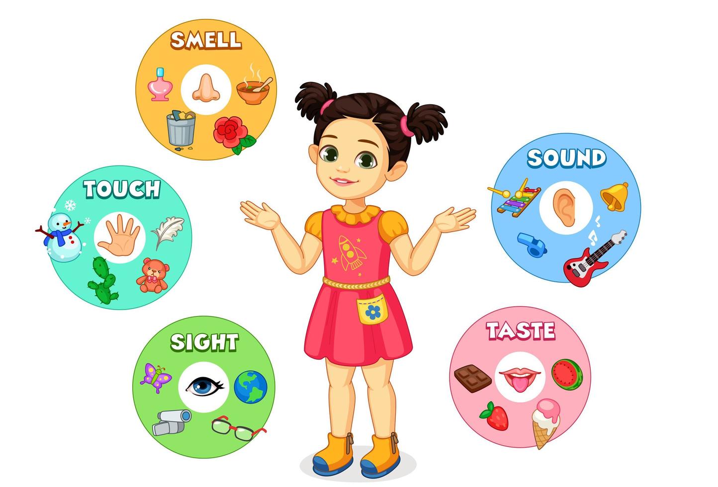 menina mostrando gráfico dos cinco sentidos vetor