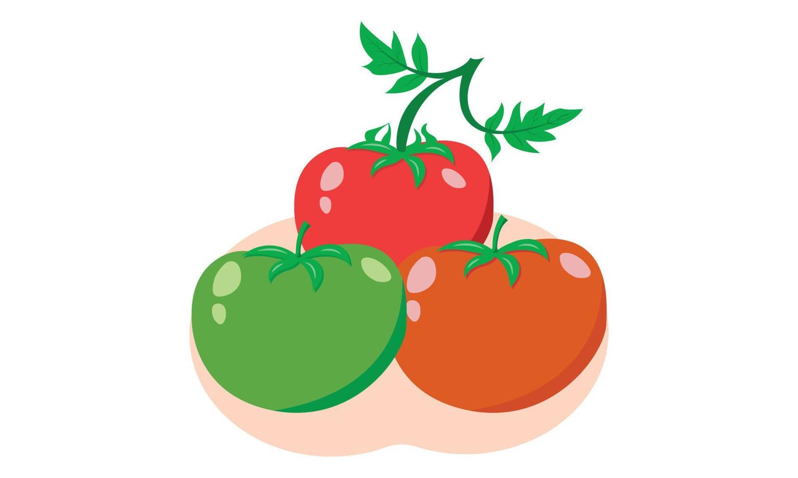 ícone de fruta de tomate e ilustrações vetoriais, as crianças criativas de ícone de fruta de tomate e ilustração vetorial de tema de ícone de fruta de tomate. vetor