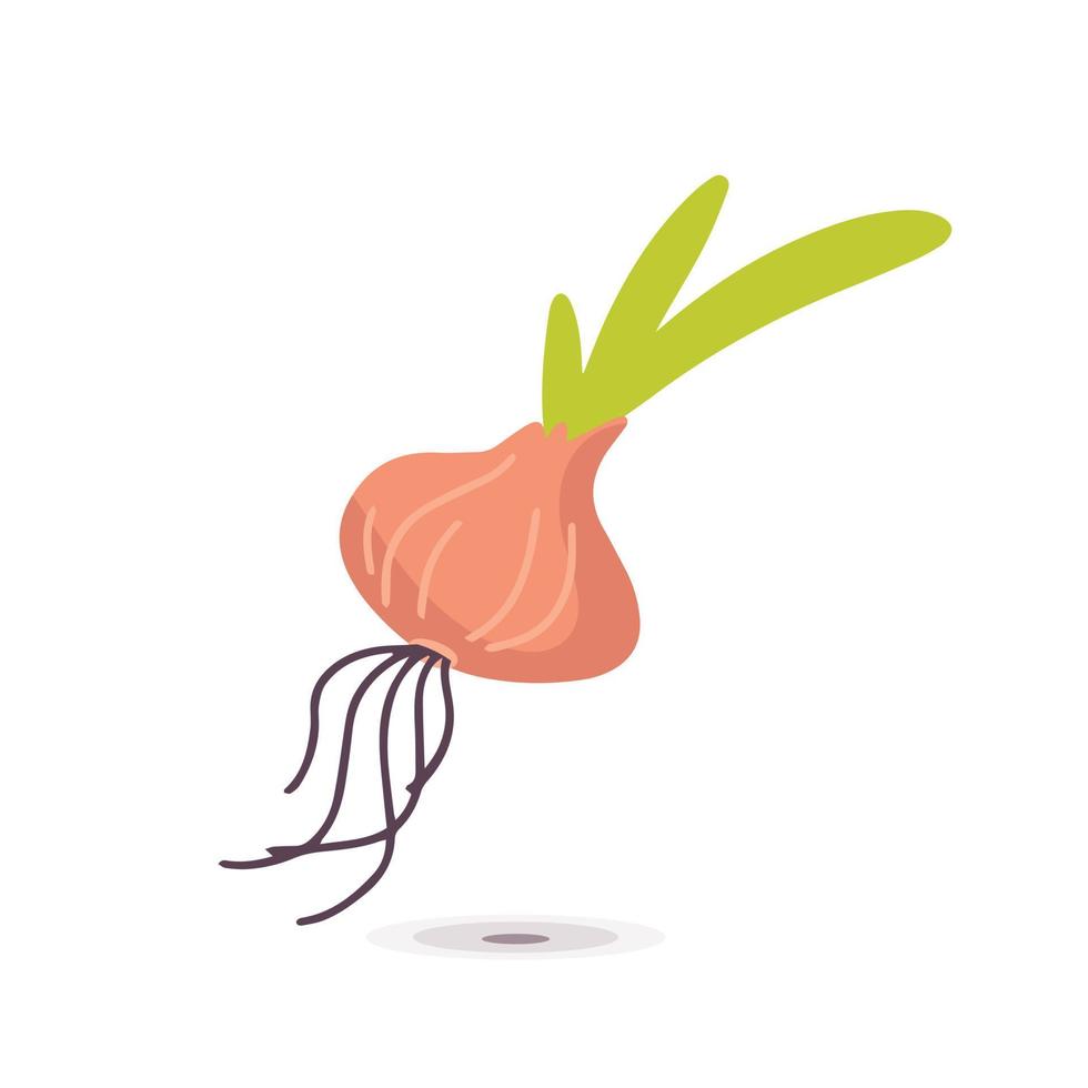 ícone de cebola vegetal orgânica eco fresca no design de ícone de estilo de desenho animado vetor