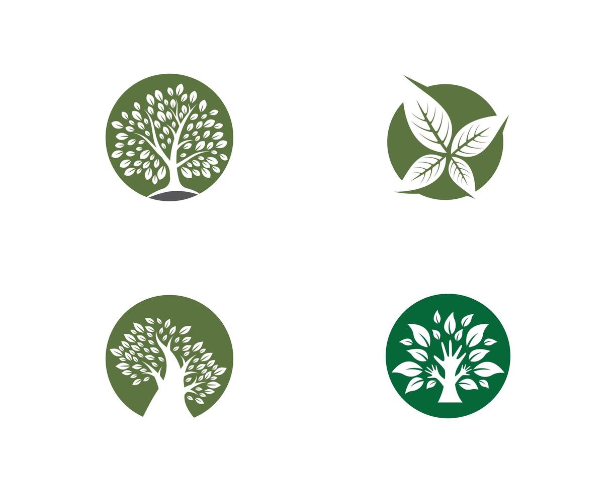 conjunto de imagens do logotipo da ecologia vetor