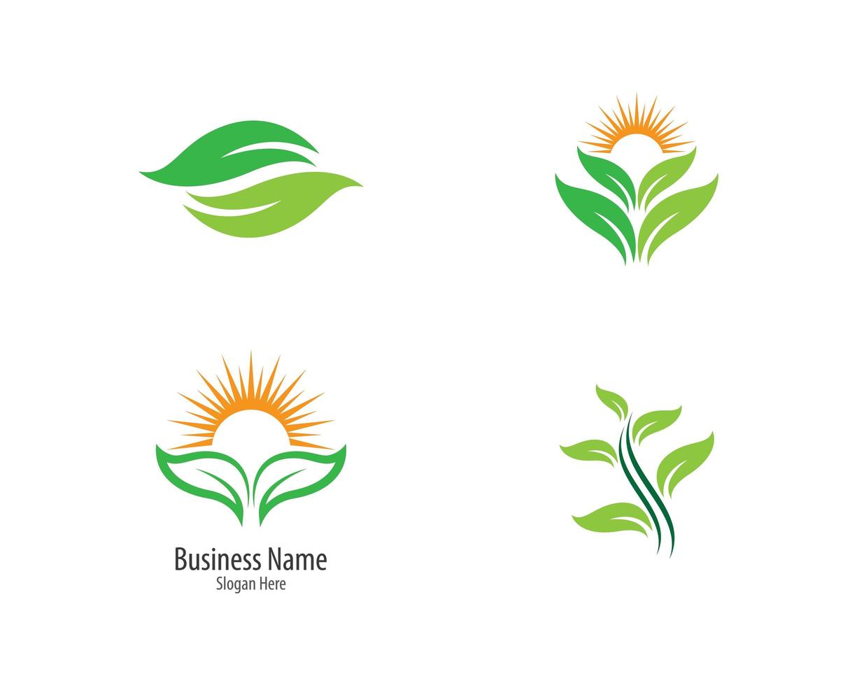 conjunto de logotipo de ecologia vetor