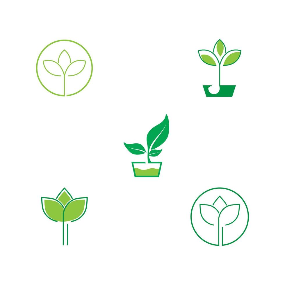 ícone de folha de árvore ecológica vetor