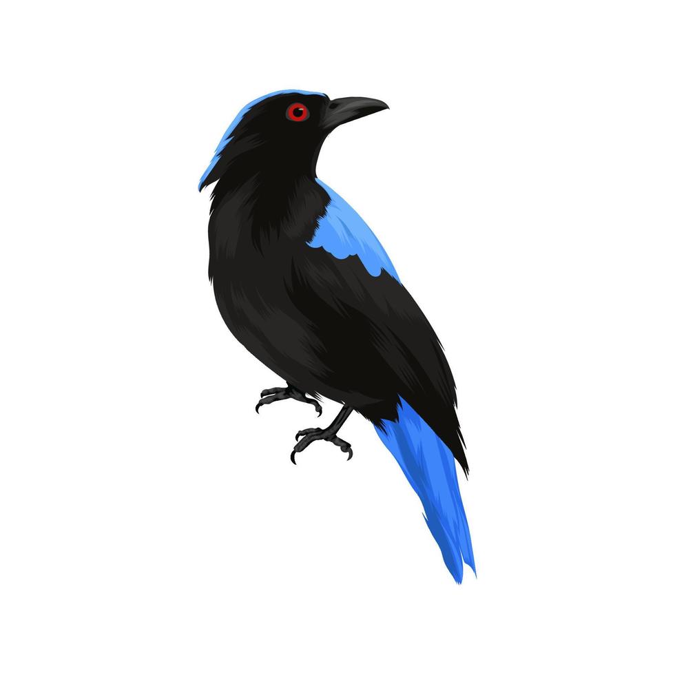 pássaro azul asiático de fadas vetor