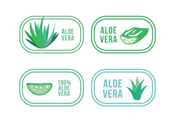 Conjunto de logotipos de aloe e maguey vetor