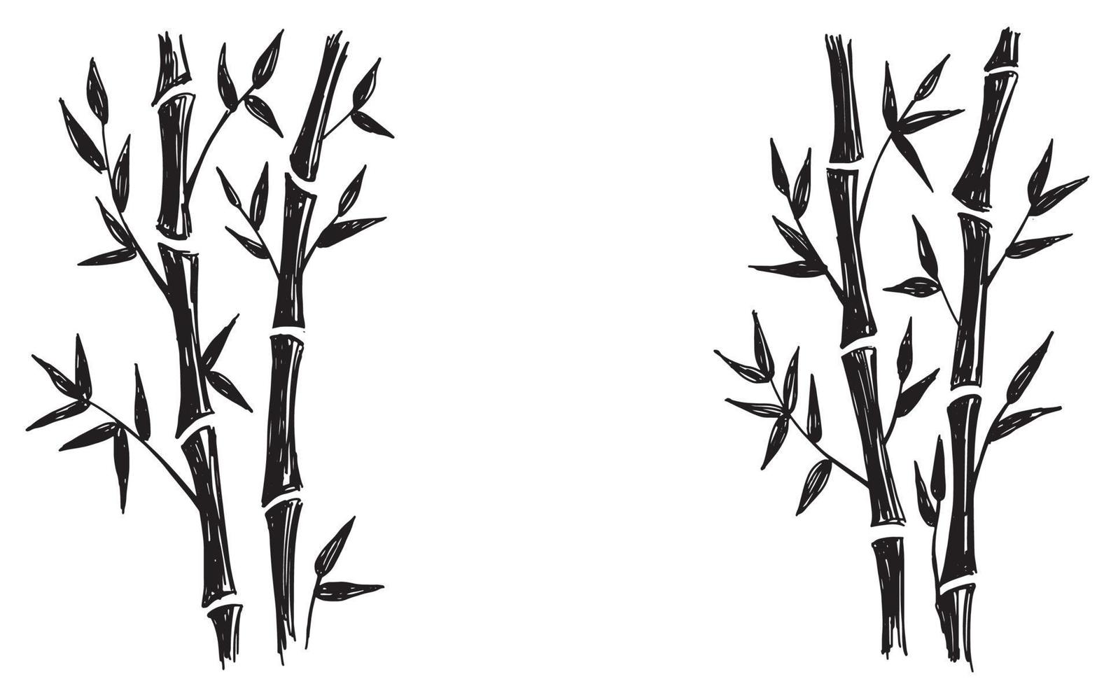 árvore de bambu. estilo desenhado à mão. ilustrações vetoriais. vetor