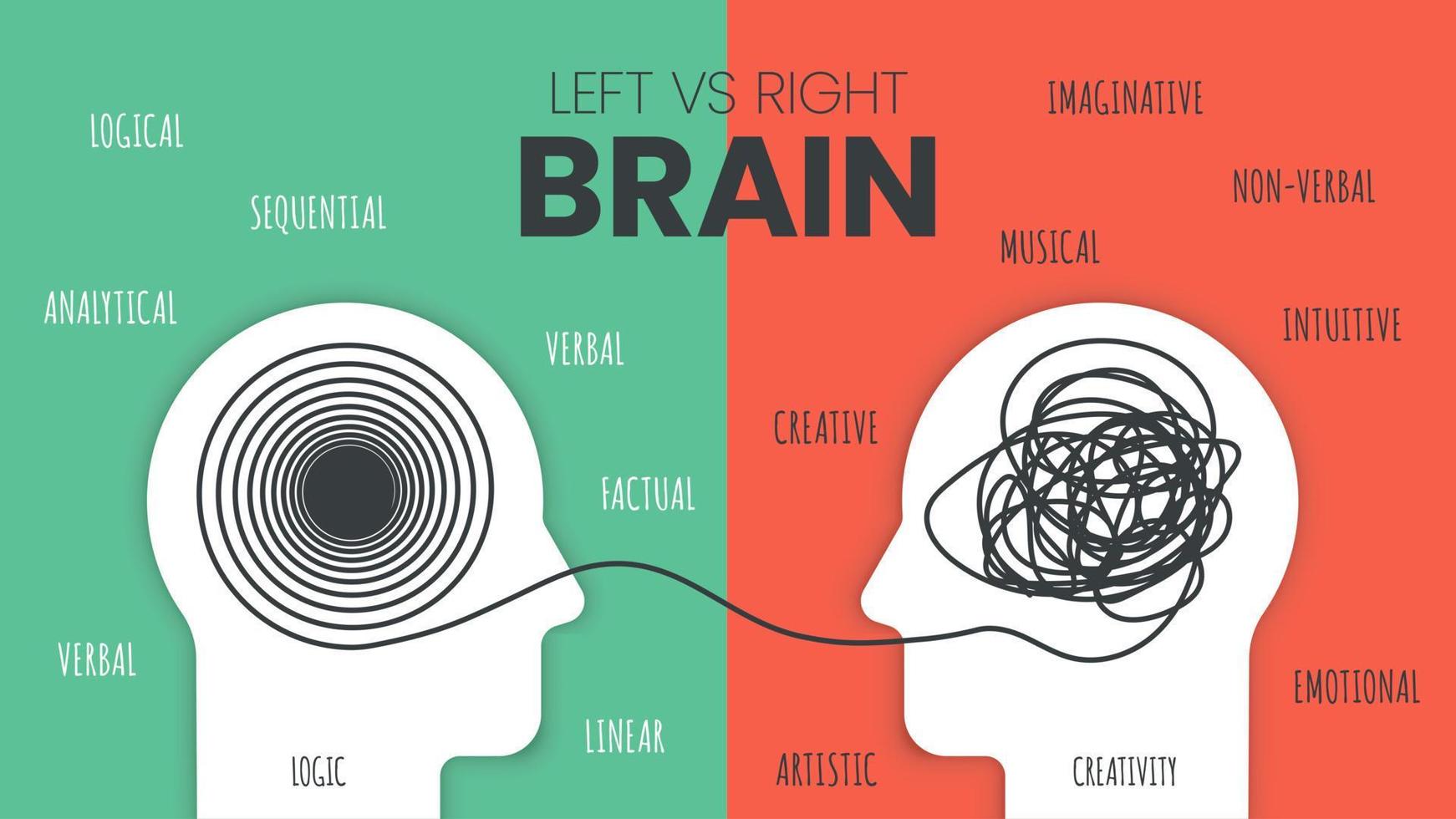 cérebro esquerdo vs. modelo de infográfico de dominância do cérebro direito. como o cérebro humano funciona teoria. pessoas criativas pensadores de cérebro direito e analíticos conceito de cérebro esquerdo. vetor de apresentação de slides visual