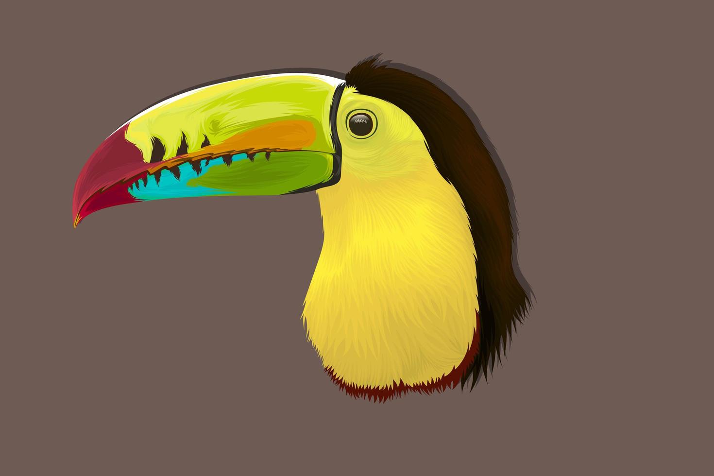 pássaro tropical desenho de mão realista vetor