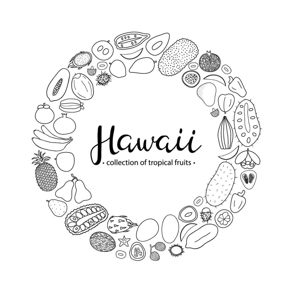 frutas tropicais do Havaí em círculo. vetor