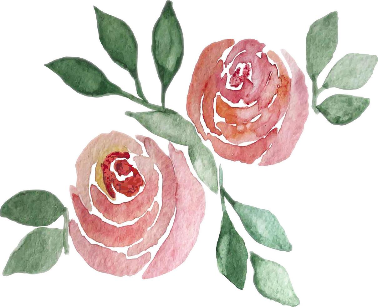 flor rosa em aquarela desenhada de mão. isolado na ilustração vetorial branca. vetor