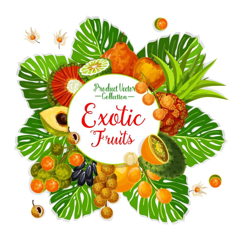 cartaz de frutas e bagas exóticas com palmeira tropical vetor