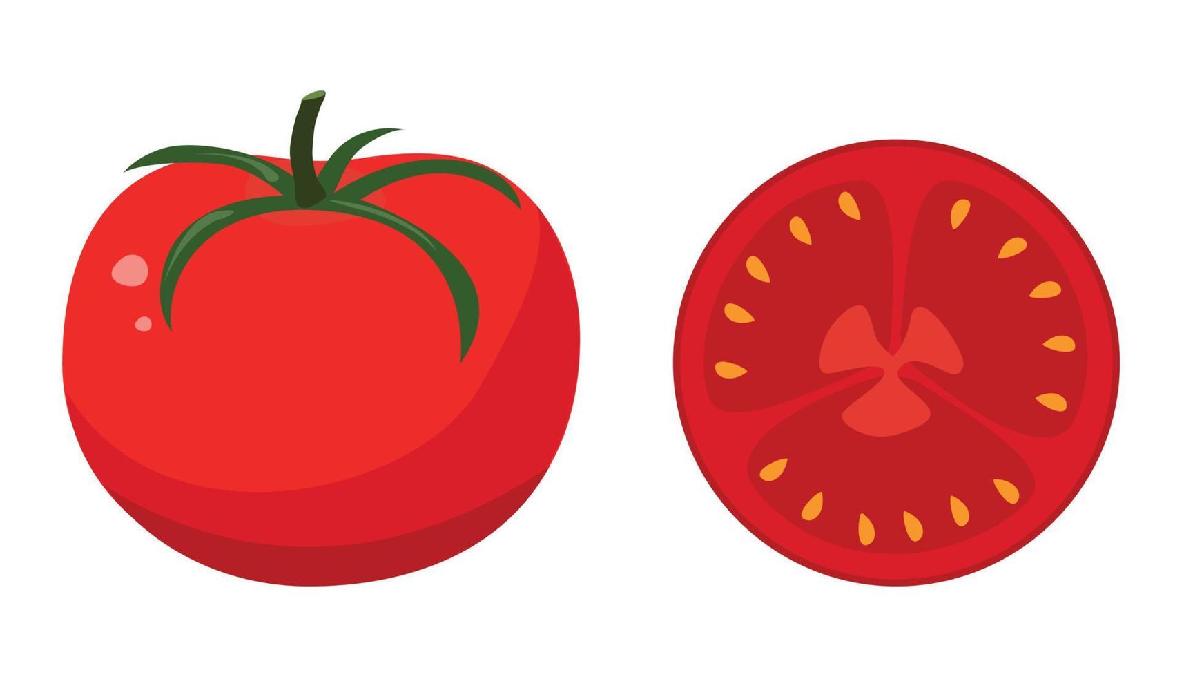 tomate vermelho em estilo simples. ilustração vetorial vetor