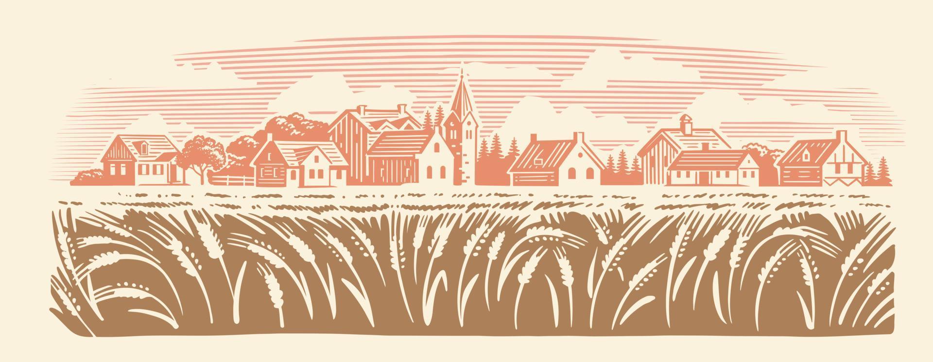 paisagem de agricultura orgânica de trigo. fazenda e campos com colheita vetor