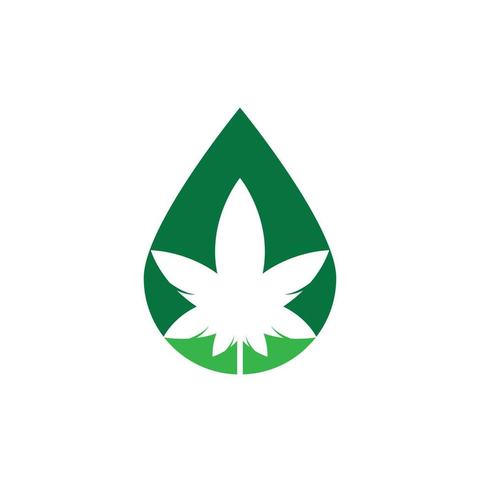 design de logotipo de conceito de gota de cannabis. ícone de vetor de logotipo de natureza de folha de cannabis
