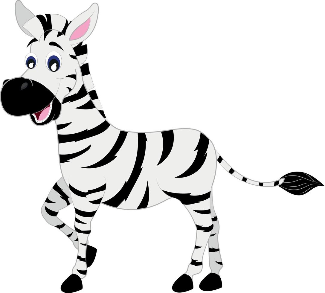 zebra de vetor de desenho animado em fundo branco