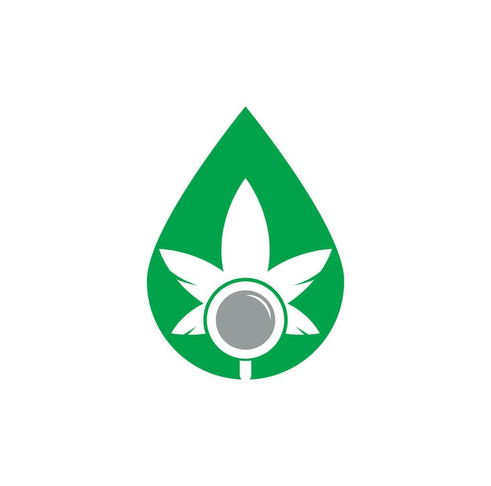 modelo de vetor de design de logotipo de forma de gota de pesquisa de cannabis. combinação de folha de maconha e logotipo de lupa. cânhamo e símbolo ou ícone de ampliação.