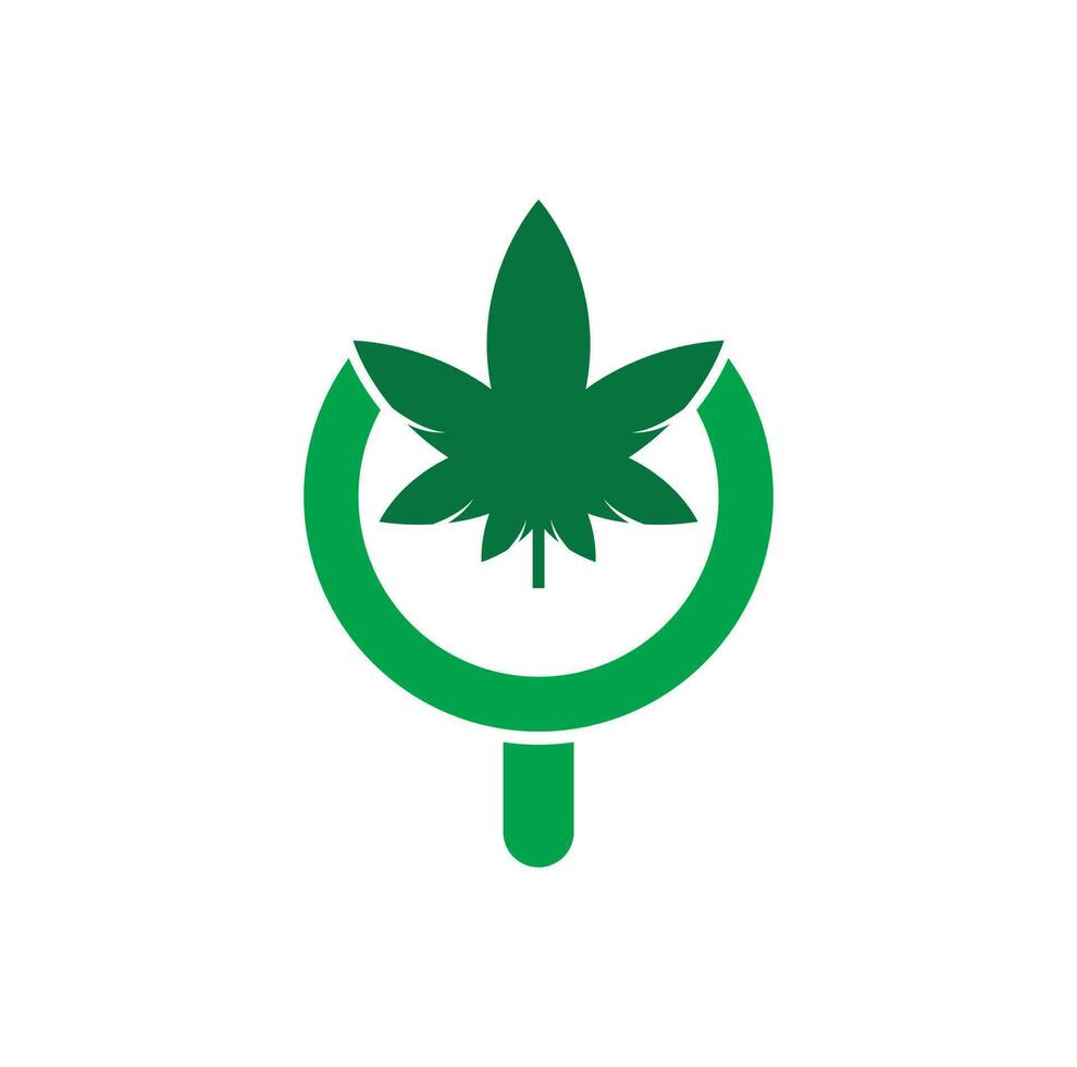 modelo de vetor de design de logotipo de pesquisa de cannabis. combinação de folha de maconha e logotipo de lupa. cânhamo e símbolo ou ícone de ampliação.