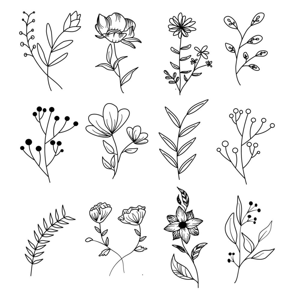 conjunto de elementos florais botânicos, plantas e flores. ramos em um fundo branco vetor