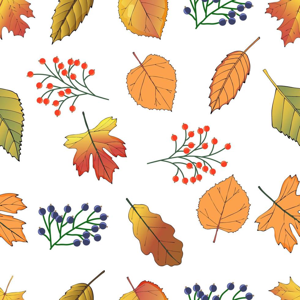 padrão com folhas de outono leaves.autumn são preto e vermelho rowan.autumn motif.it pode ser usado para papel de parede têxtil e ilustração packaging.vector. vetor