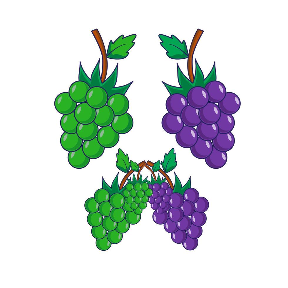 conjunto de ícones de vetor isolado de uvas. abre frutos na videira com folha. uvas roxas e verdes. logotipo de marca de vinho ou suco.