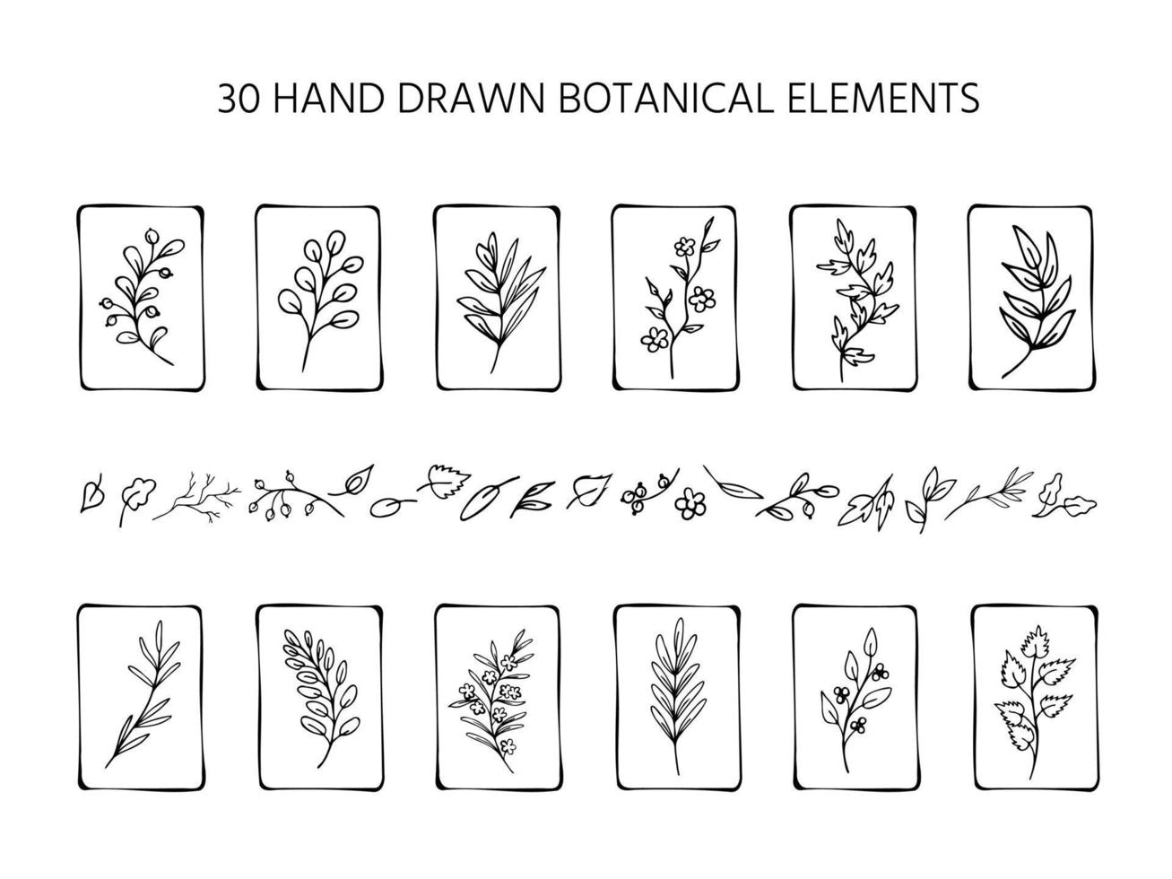 conjunto de folhas e galhos preto e brancos desenhados à mão, ramos de fantasia. coleção de etiquetas naturais ecológicas isoladas, rótulos, elementos de design de fantasia vetor