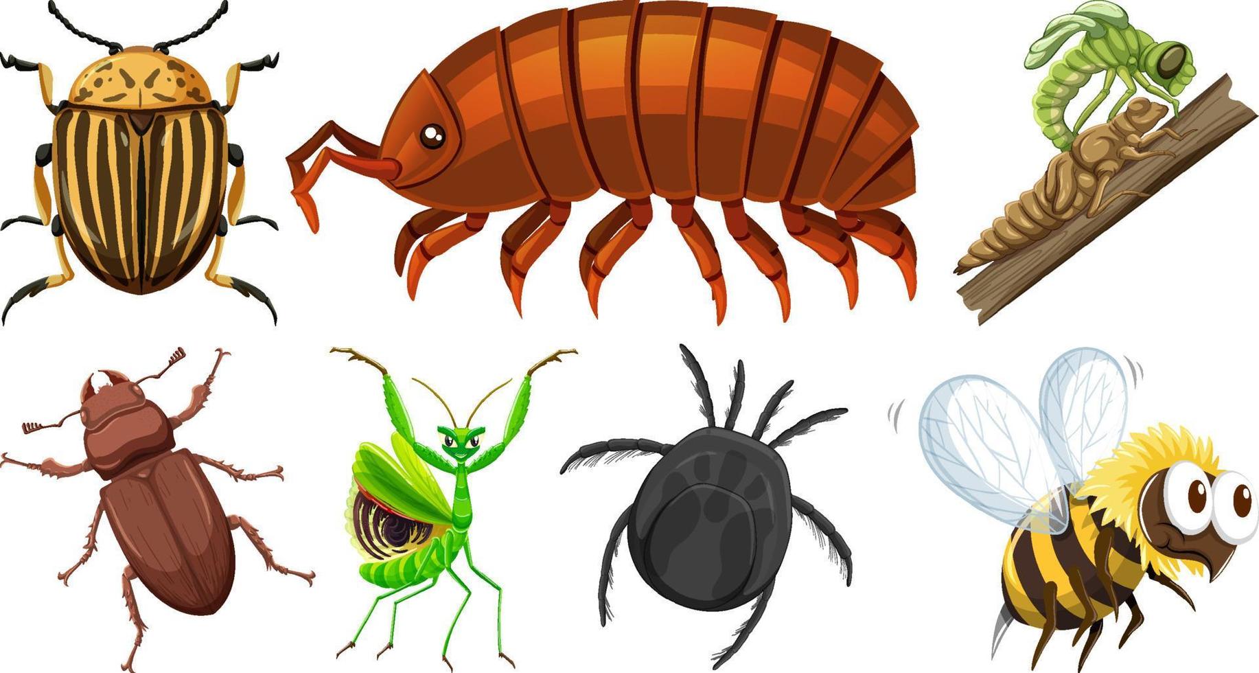 conjunto de diferentes tipos de insetos vetor