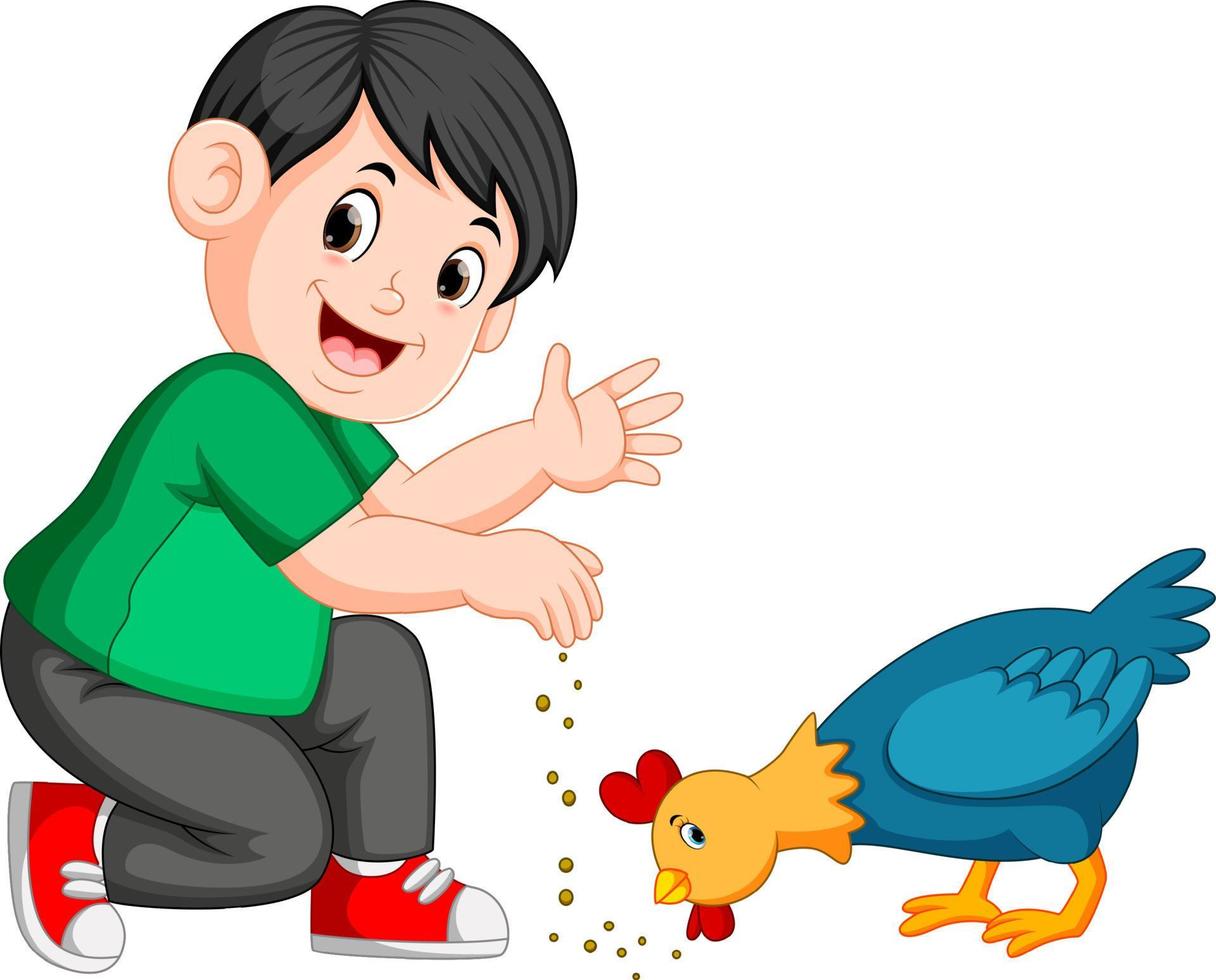menino dá semente para galinha comer vetor