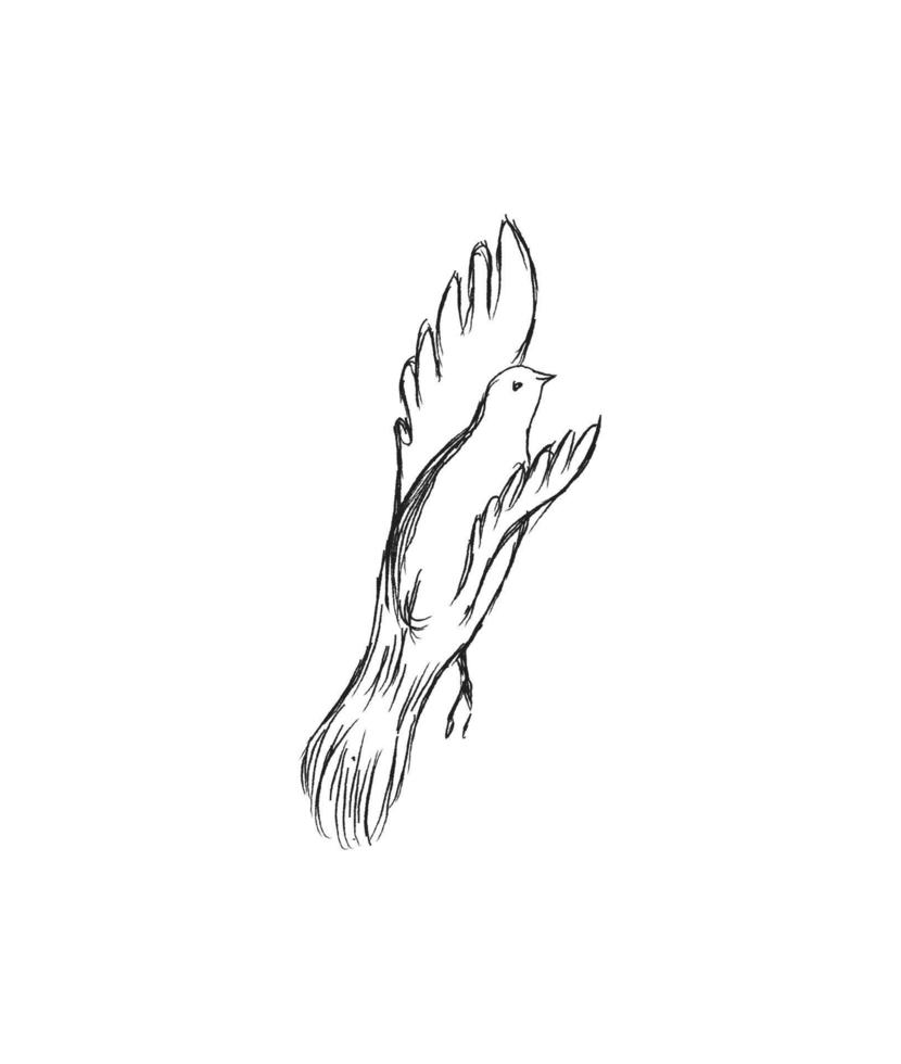 esboce o pássaro voador. mão desenhada ilustração vetorial isolada. gravura pardal, chapim, andorinha no estilo doodle vetor
