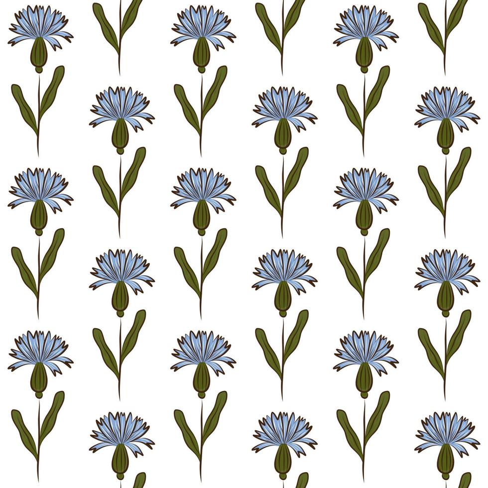 fundo sem costura de vetor branco com flores silvestres de centáurea azul claro