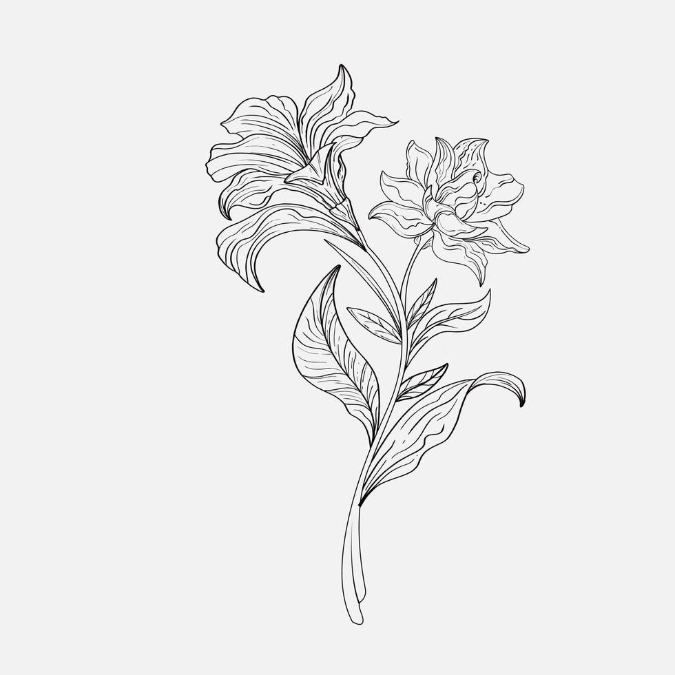 desenhos para colorir de lindas flores de lírio para imprimir. contorno de  lírios. página em preto e branco para livro de colorir. coloração  anti-stress. flores de arte de linha 13368547 Vetor no