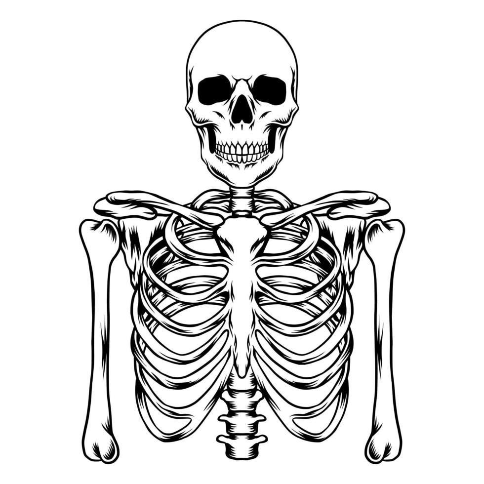 arte vetorial de esqueleto humano vetor