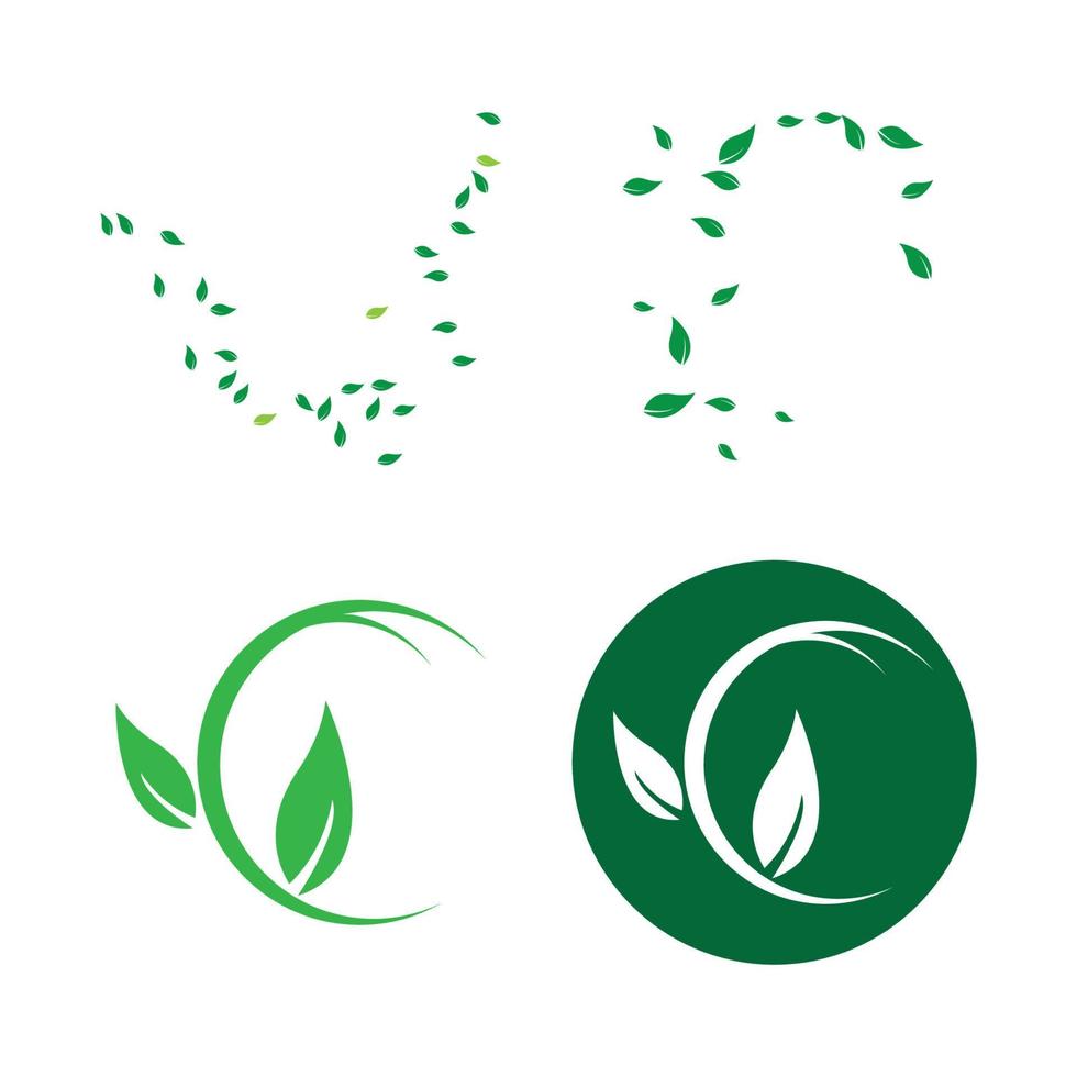 modelo de logotipo de folha de árvore ecológica vetor