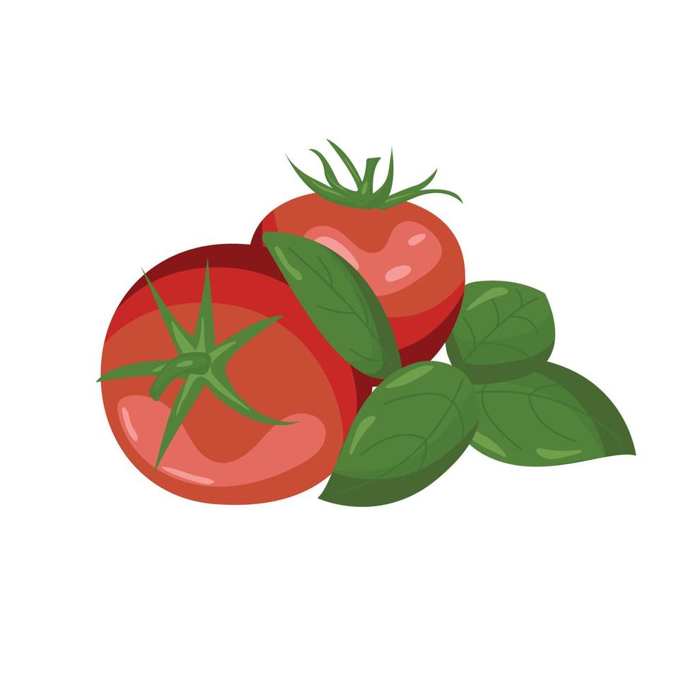 par de tomates vermelhos desenhados com folhas vetor