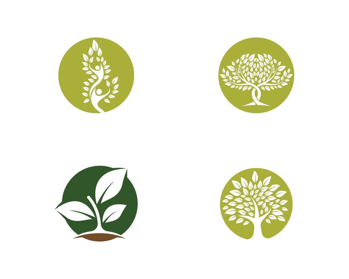 conjunto de logotipo da árvore vetor