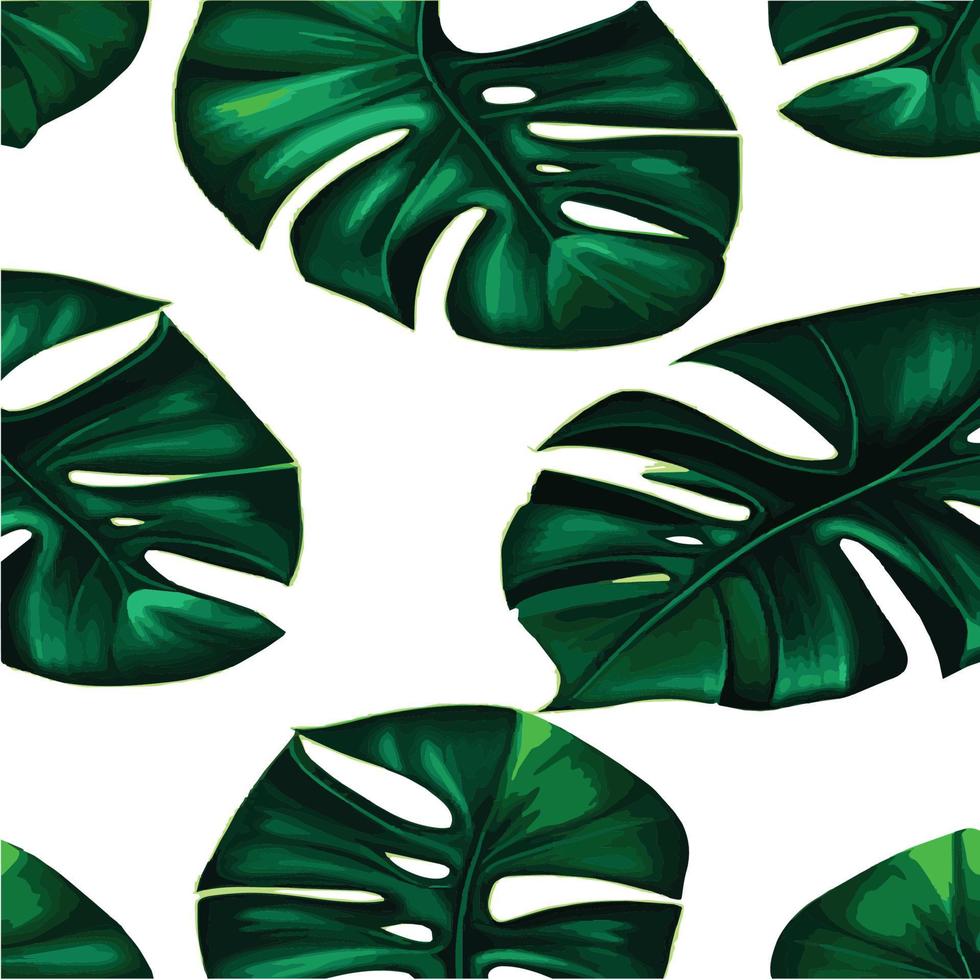 fundo branco padrão monstera verde. padrão exótico com folhas tropicais. ilustração vetorial. padrão de folha de monstera. folhas de palmeiras tropicais. tecido de design exótico, estampa têxtil, papel de embrulho vetor