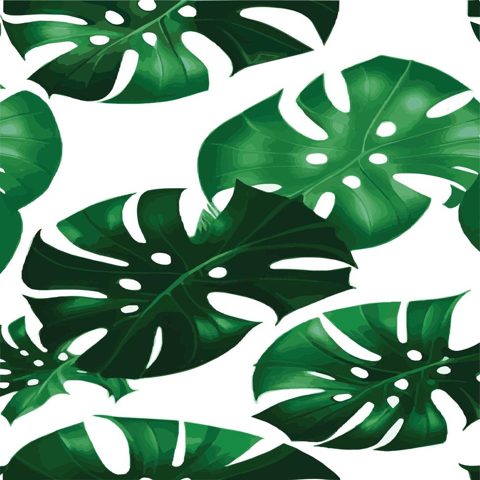 fundo branco padrão monstera verde. padrão exótico com folhas tropicais. ilustração vetorial. padrão de folha de monstera. folhas de palmeiras tropicais. tecido de design exótico, estampa têxtil, papel de embrulho vetor