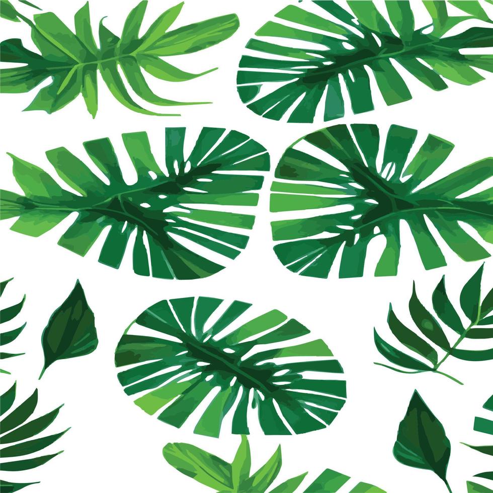 fundo branco padrão monstera verde. padrão exótico com folhas tropicais. ilustração vetorial. padrão de folha de monstera. folhas de palmeiras tropicais. tecido de design exótico, estampa têxtil, papel de embrulho vetor