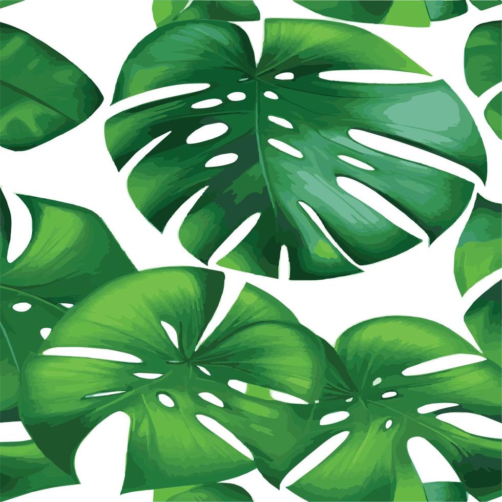 fundo branco padrão monstera verde. padrão exótico com folhas tropicais. ilustração vetorial. padrão de folha de monstera. folhas de palmeiras tropicais. tecido de design exótico, estampa têxtil, papel de embrulho vetor