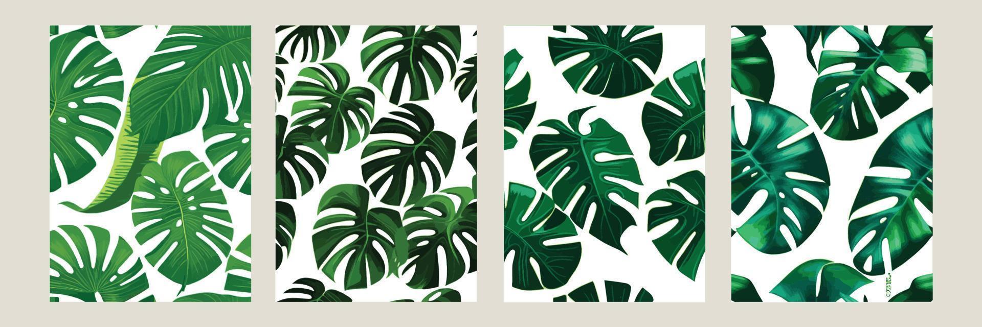 monstera verde como um padrão em um fundo branco. padrão exótico com folhas tropicais. ilustração vetorial. conjunto de cartazes quadrados vetor