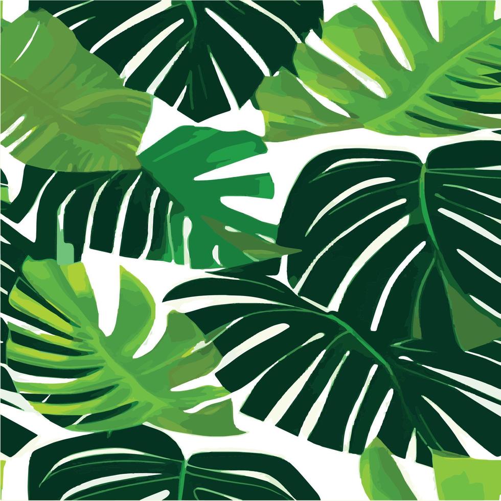 fundo branco padrão monstera verde. padrão exótico com folhas tropicais. ilustração vetorial. padrão de folha de monstera. folhas de palmeiras tropicais. tecido de design exótico, estampa têxtil, papel de embrulho vetor