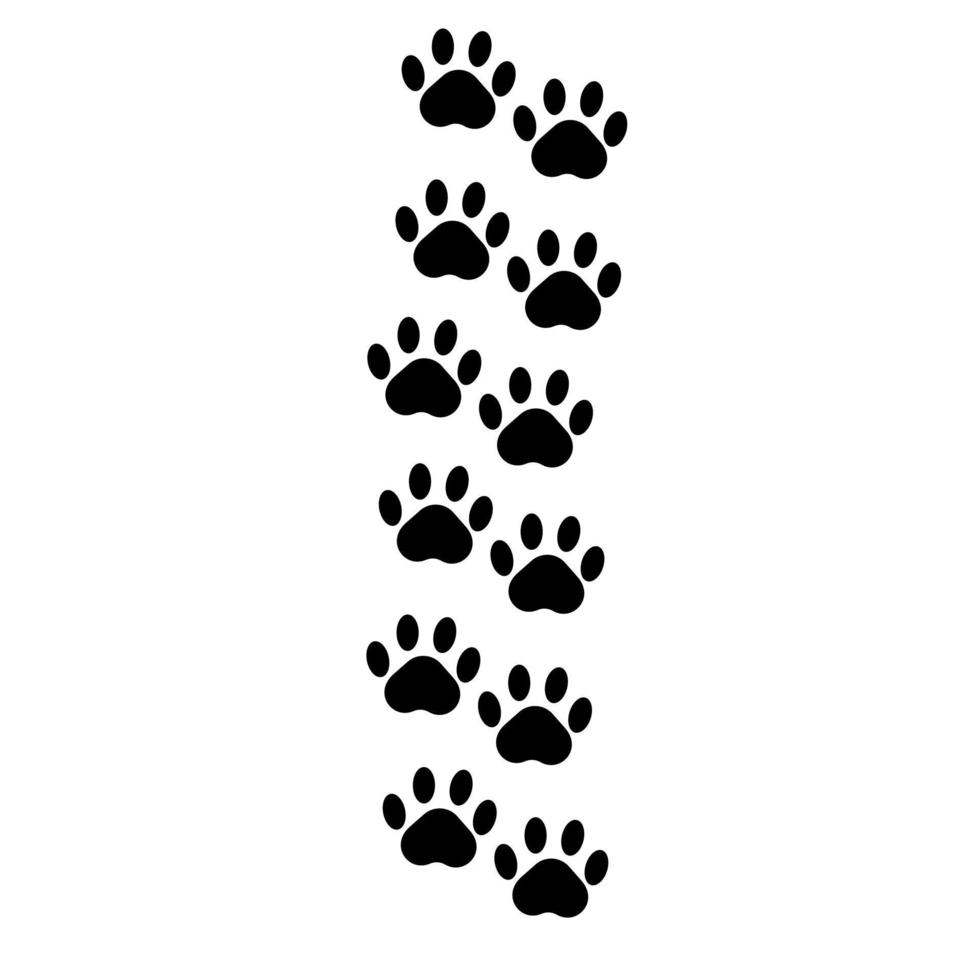 pegadas de gato preto. ilustração vetorial vetor