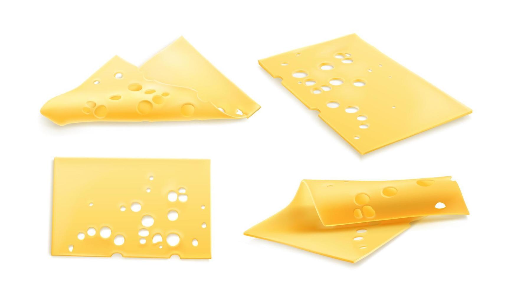 fatias de queijo 3d ilustração vetorial realista vetor