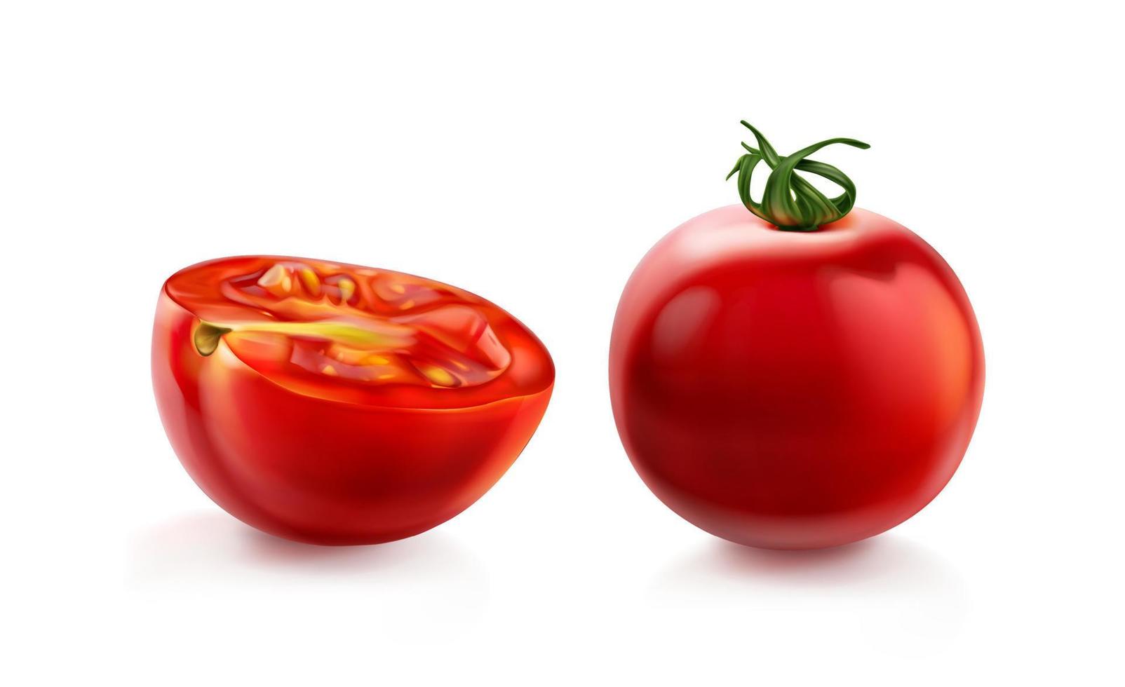 tomate cereja, tomate vermelho com talo verde vetor