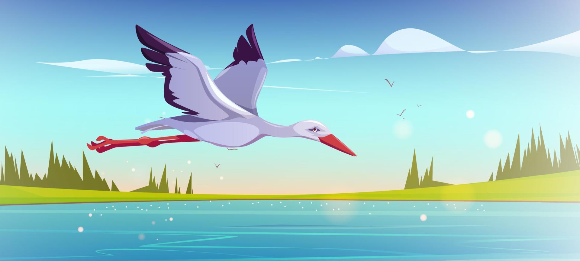 cegonha branca voando acima do lago de manhã vetor