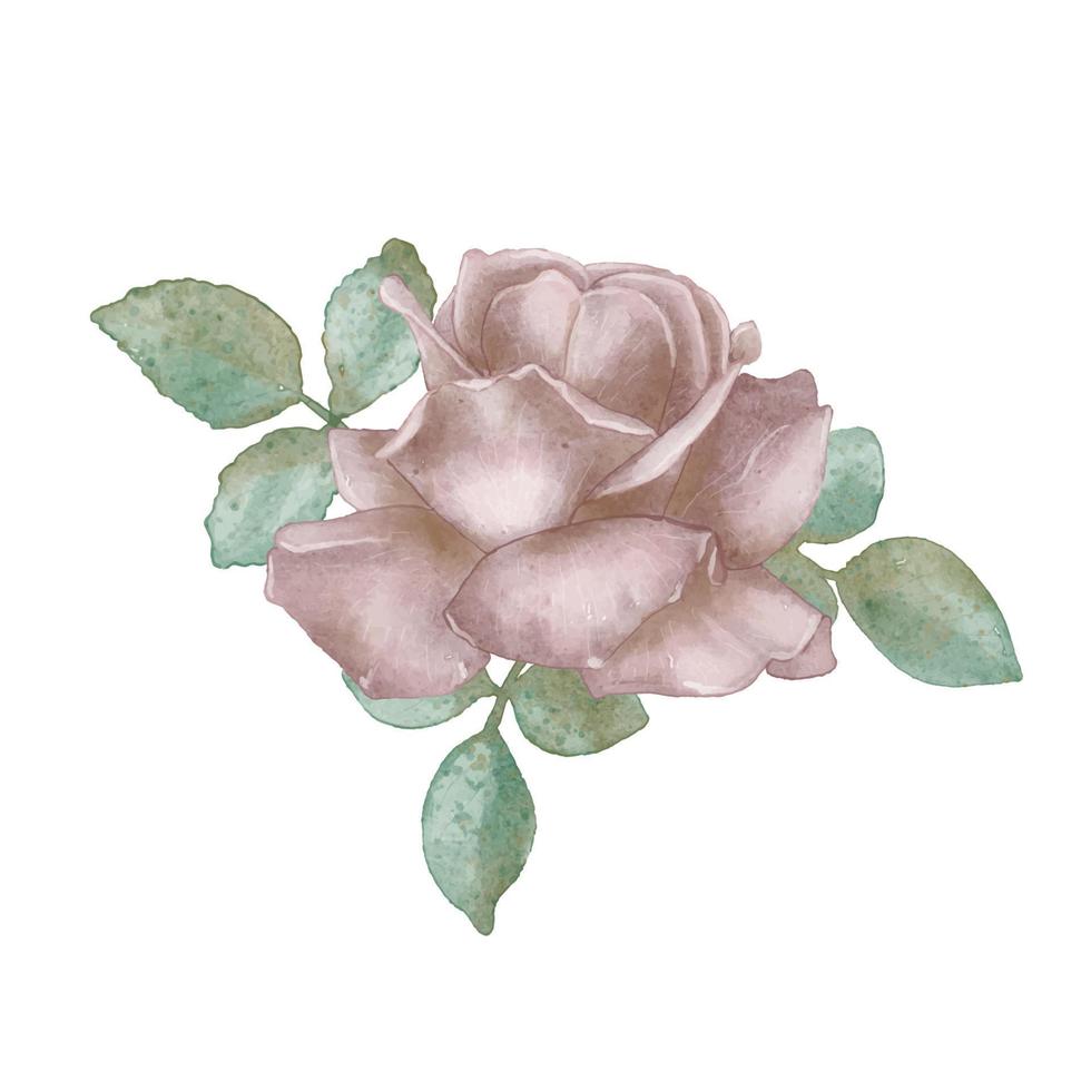 buquê de rosas em aquarela, pode ser usado como cartão de felicitações, cartão de convite para casamento, aniversário e outras férias e fundo de verão. vetor