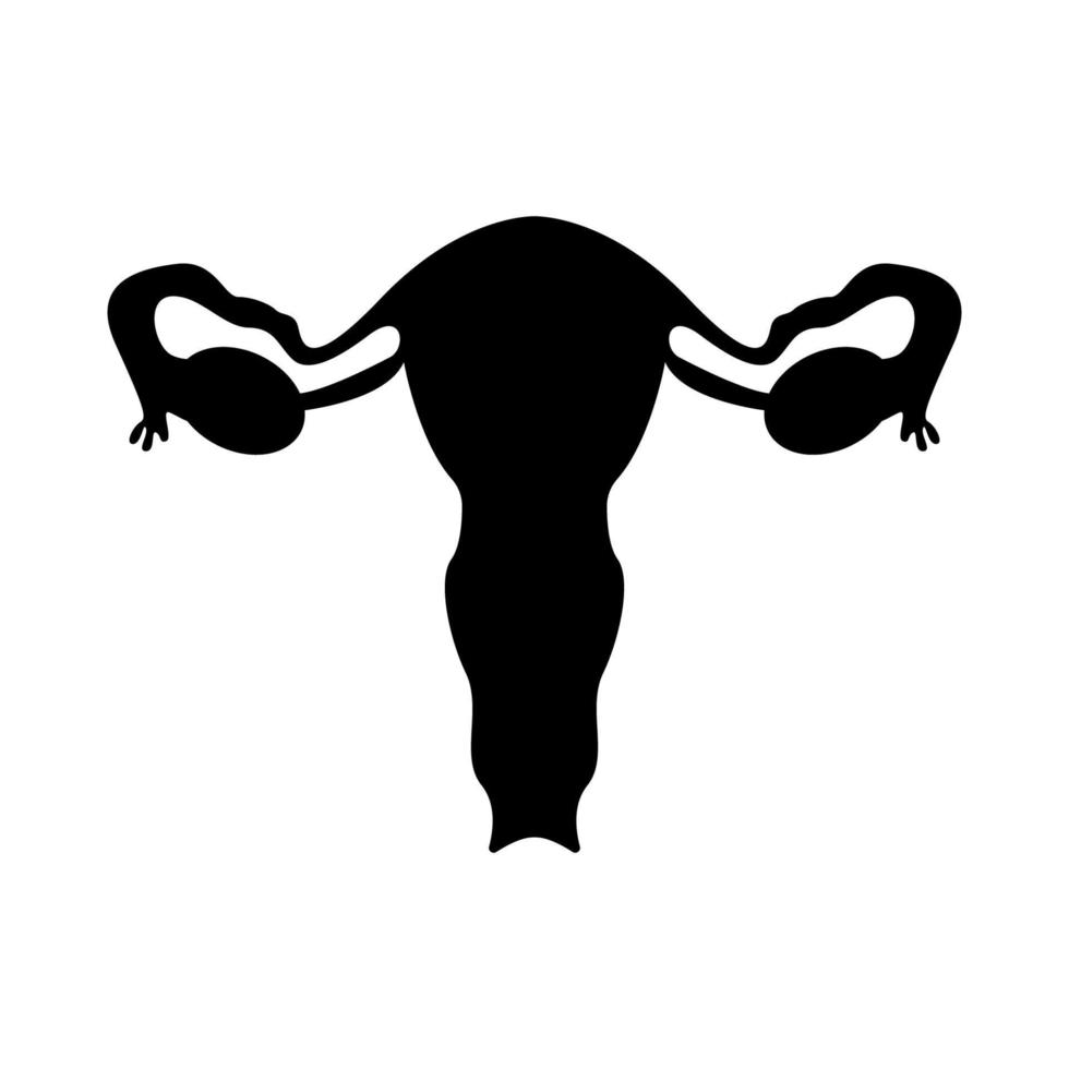 silhueta de genitais femininos. ilustração vetorial vetor