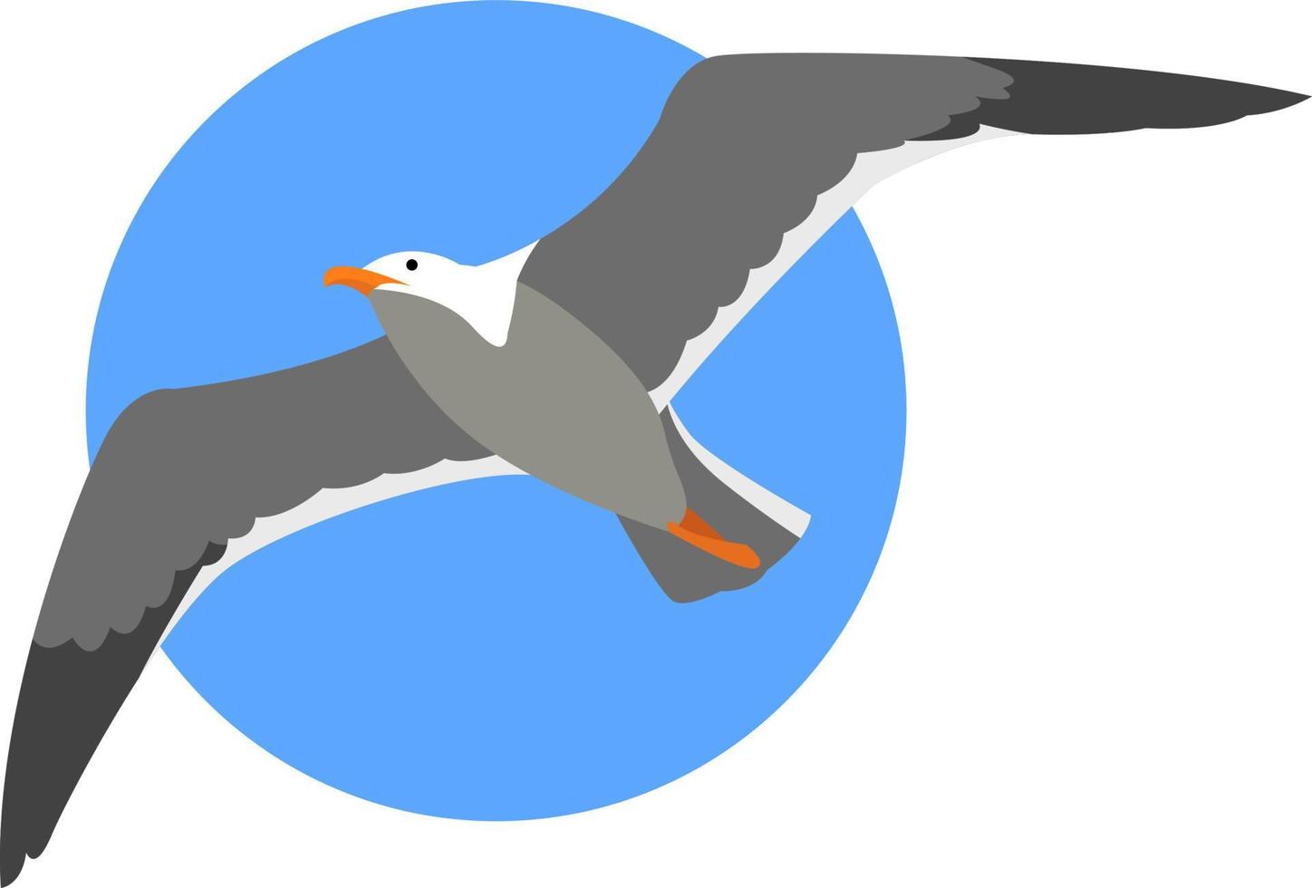 gaivota voando, ilustração, vetor em fundo branco
