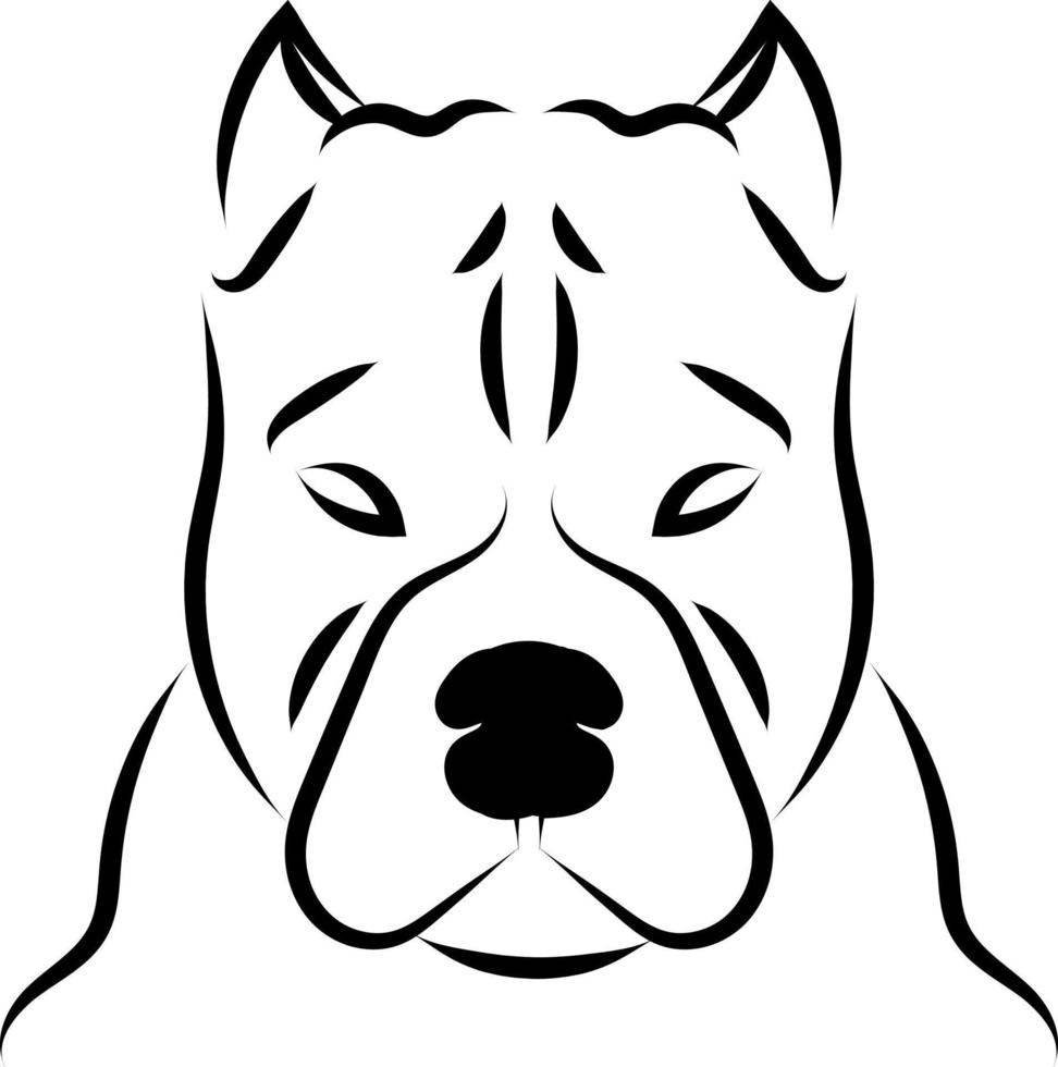 American pit bull terrier, ilustração, vetor em fundo branco.