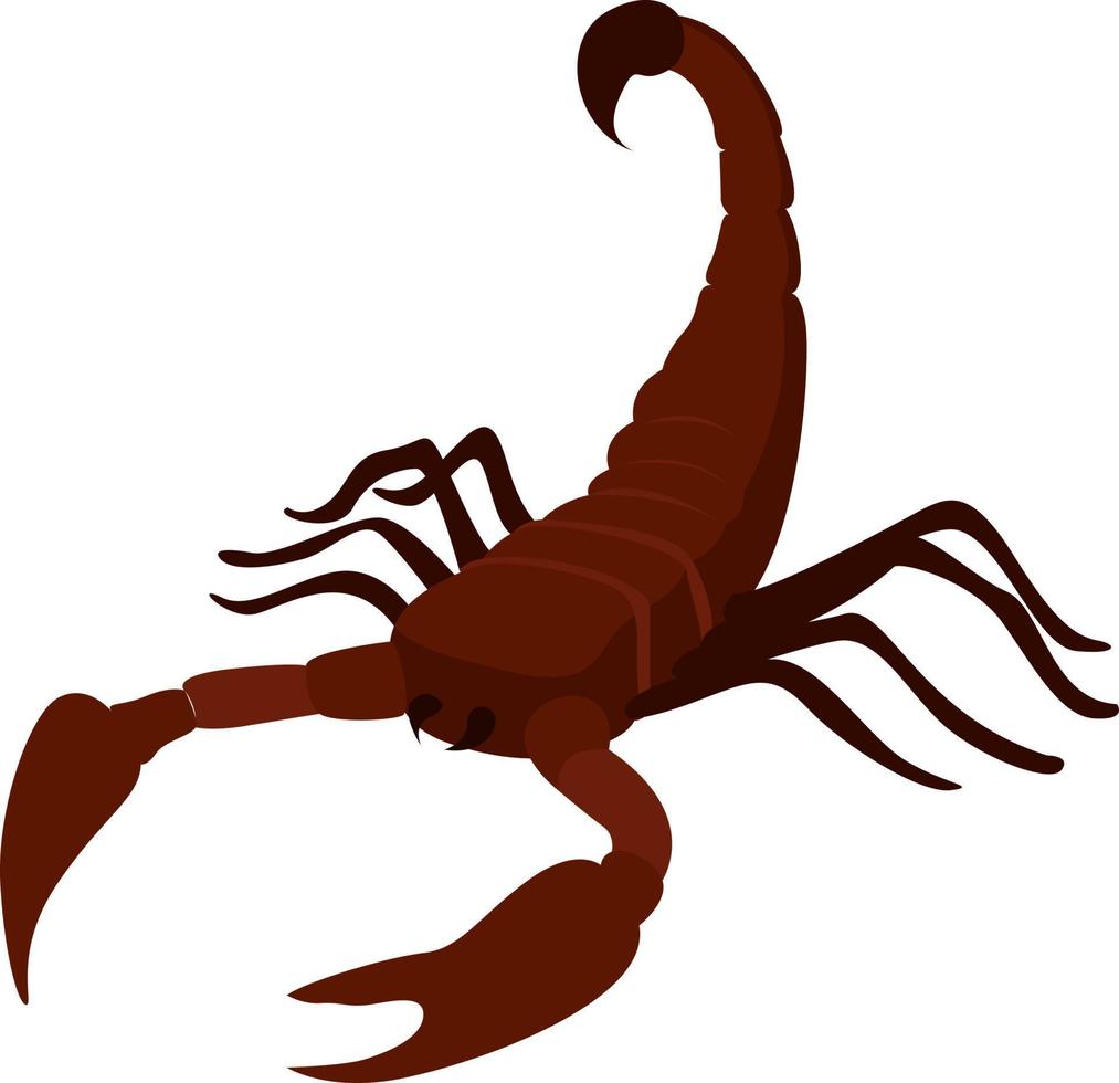 escorpião vermelho, ilustração, vetor em fundo branco