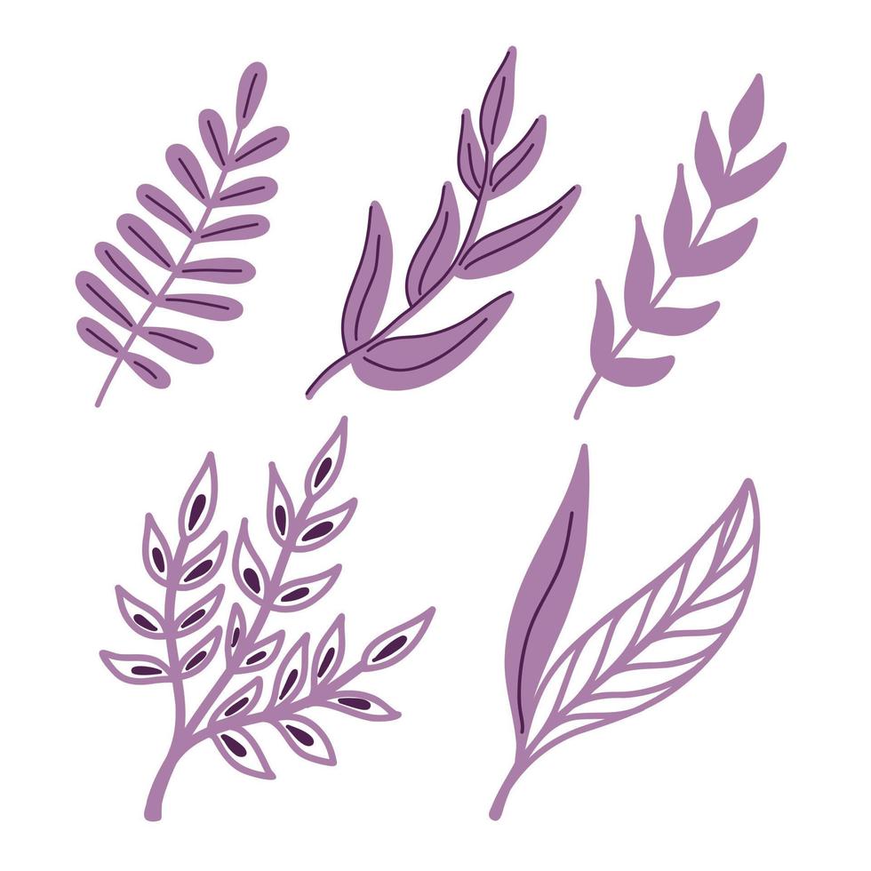 um conjunto de ilustrações vetoriais com galhos roxos de folhas em estilo doodle artesanal em um fundo branco. ilustração botânica para cartões postais, presentes, feriados, tecidos vetor