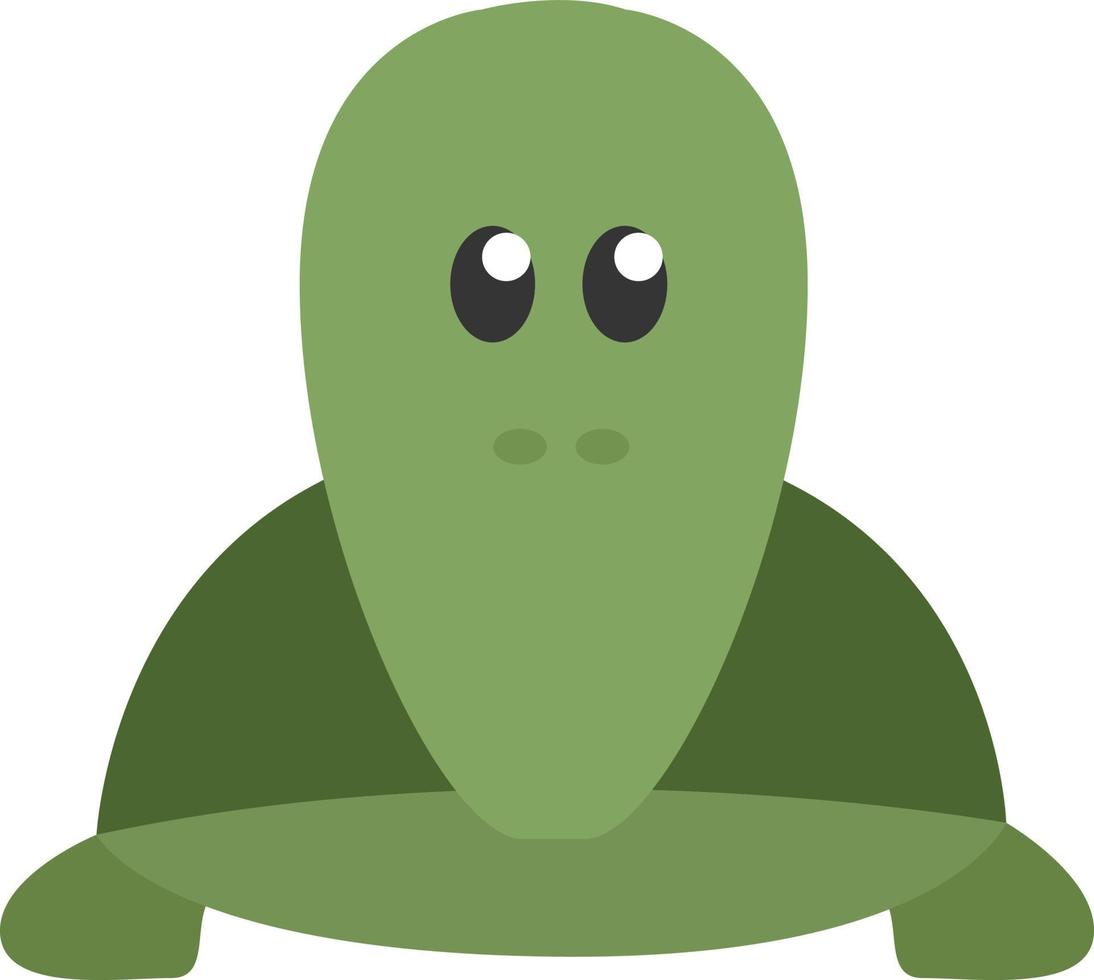 tartaruga verde, ilustração, vetor, sobre um fundo branco. vetor